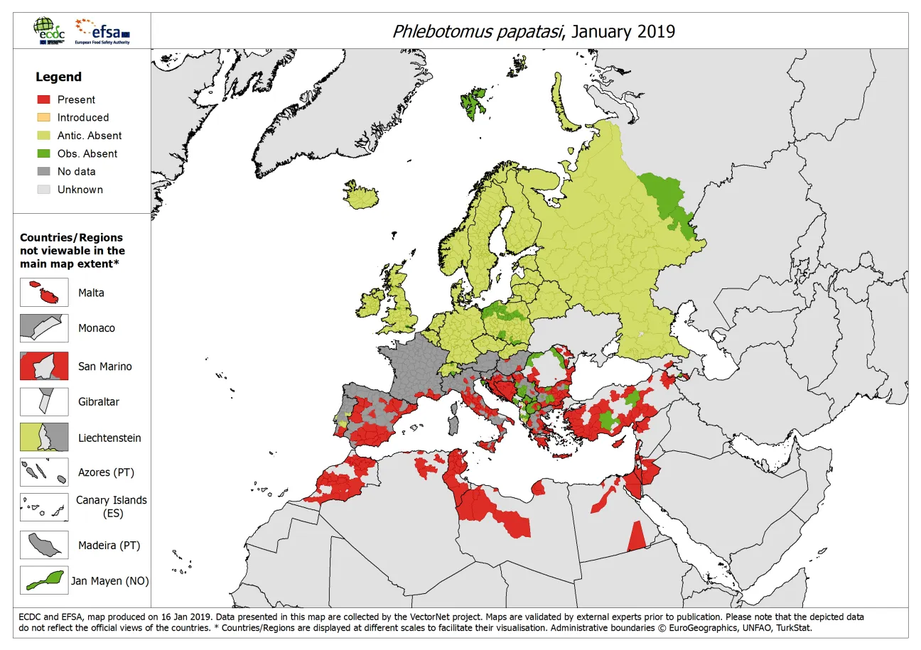 Phlebotomus papatasi - current known distribution: January 2019
