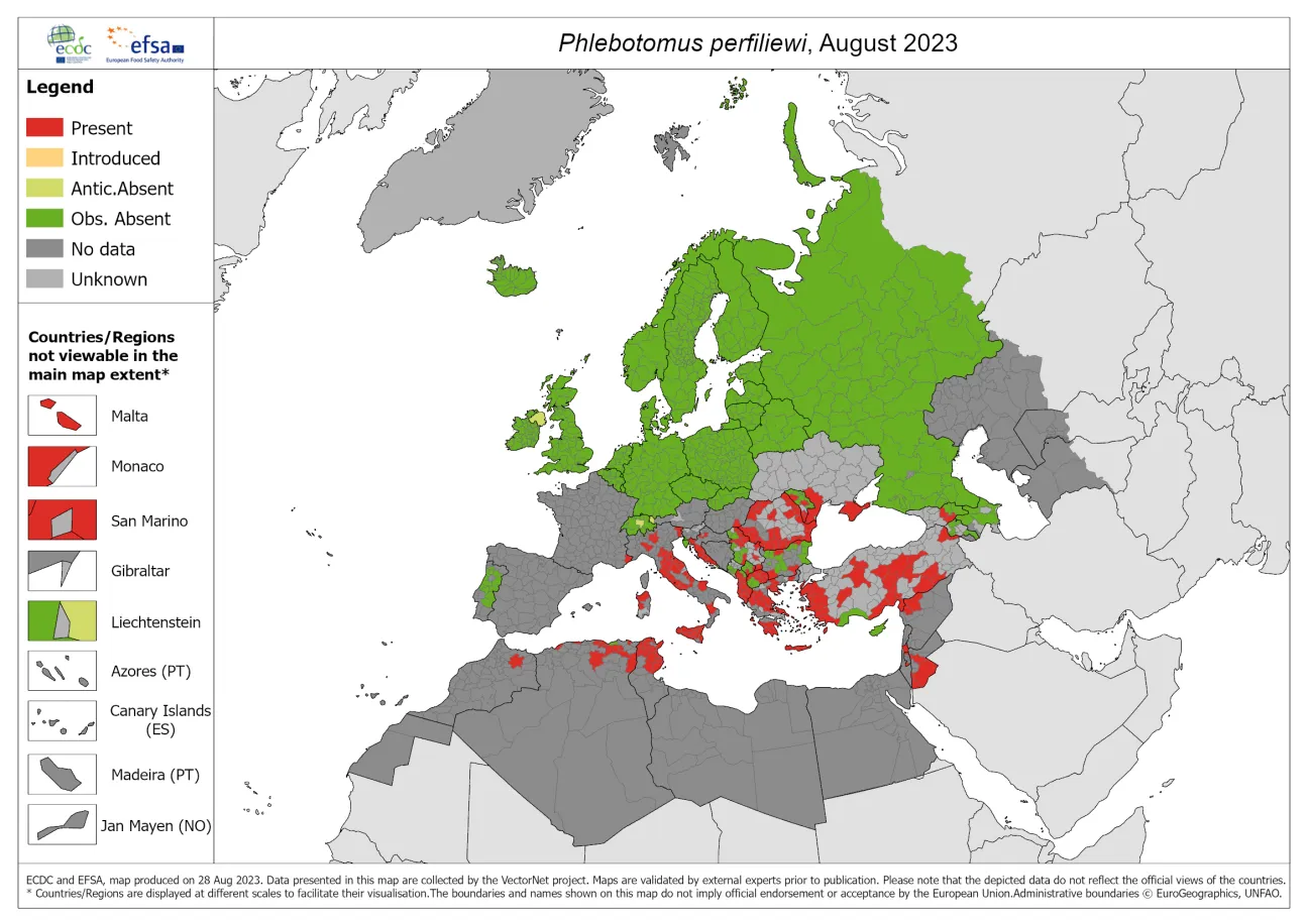 Phlebotomus perfiliewi - current known distribution: August 2023