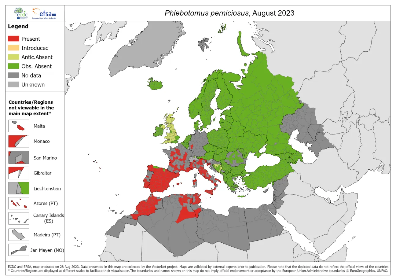Phlebotomus perniciosus - current known distribution: August 2023