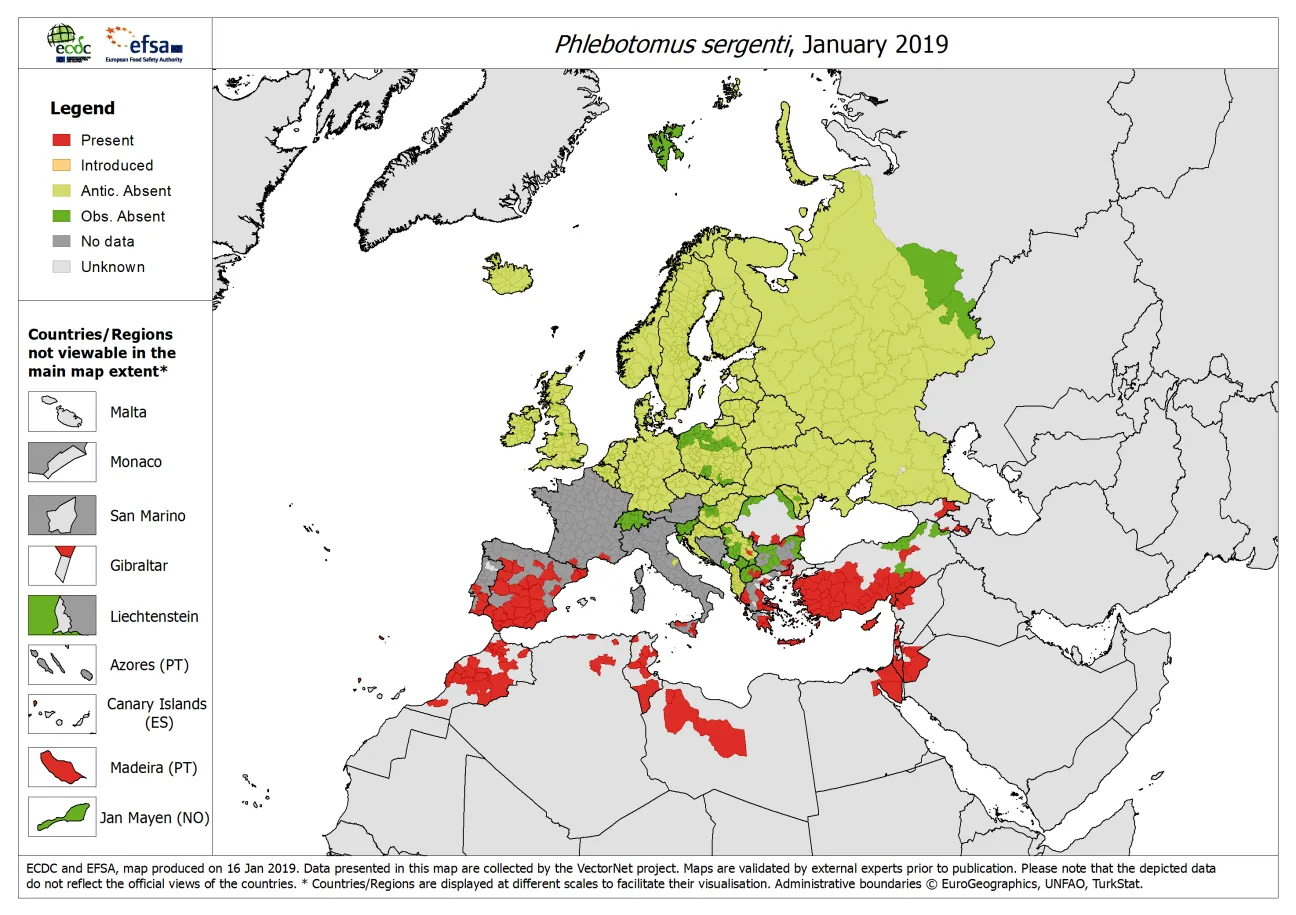Phlebotomus sergenti - current known distribution: January 2019