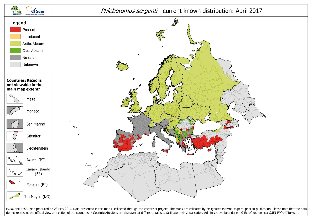 Map showing the distribution of Phlebotomus sergenti ticks in Europe, as of April 2017