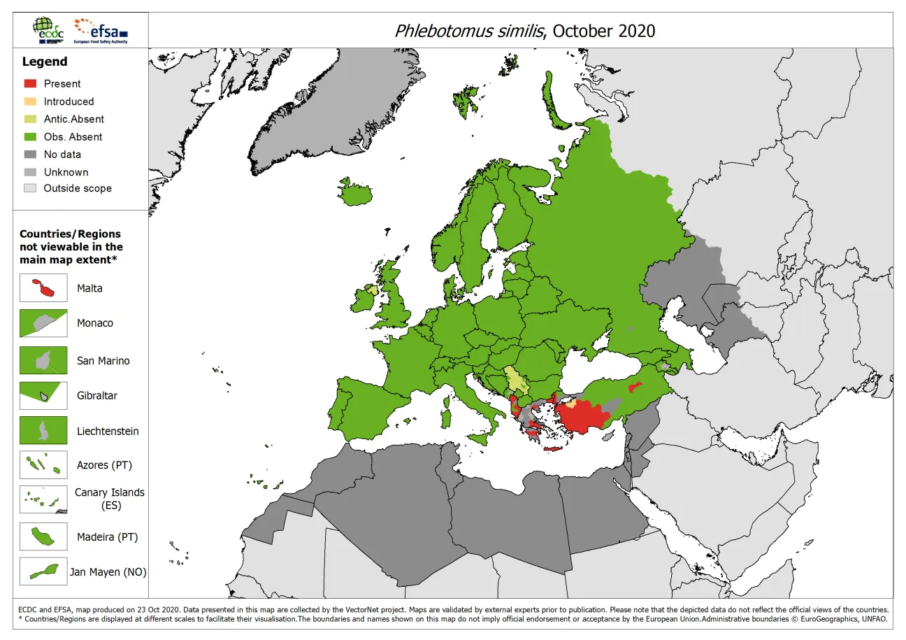 Phlebotomus similis - current known distribution: October 2020