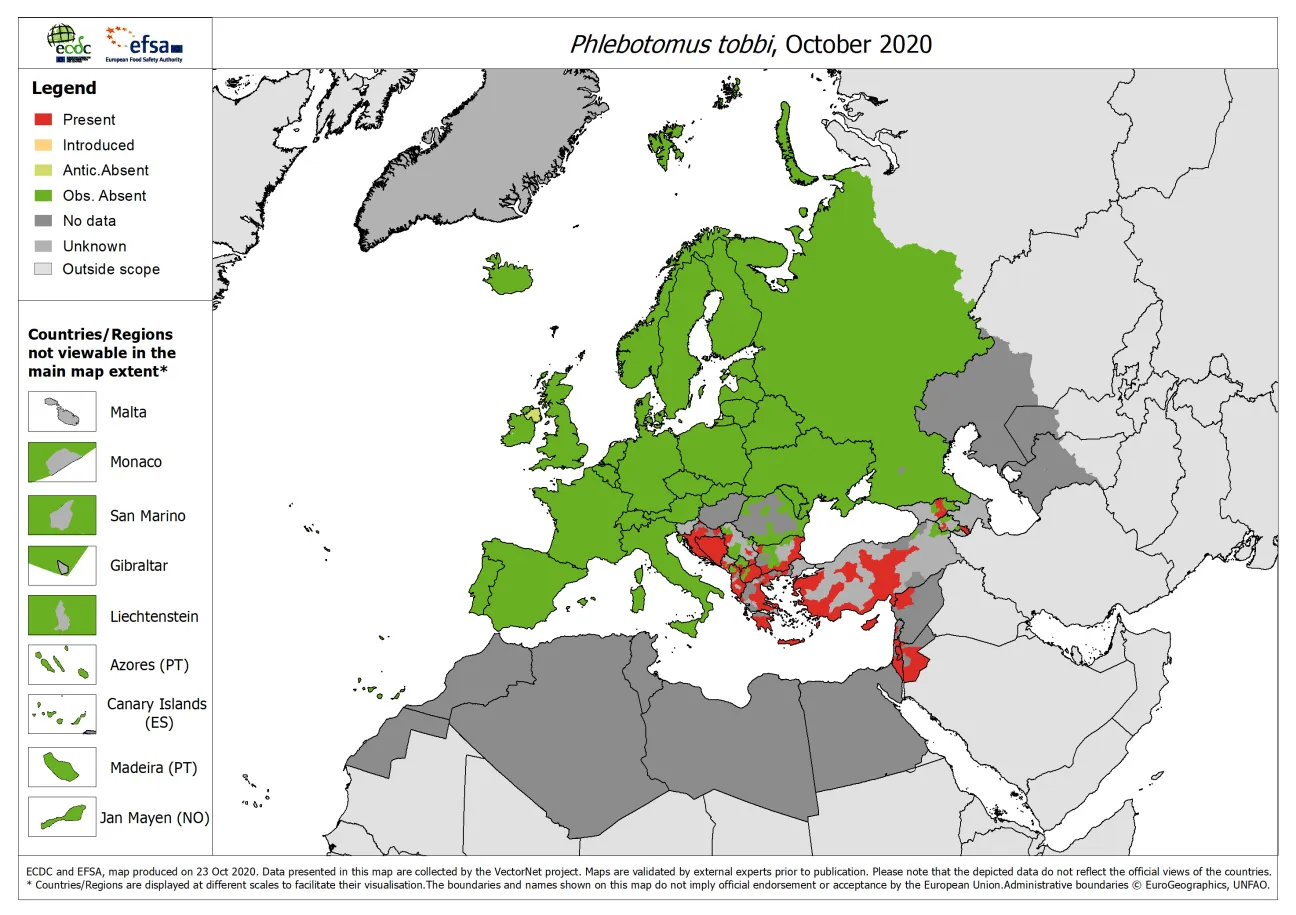 Phlebotomus tobbi - current known distribution: October 2020