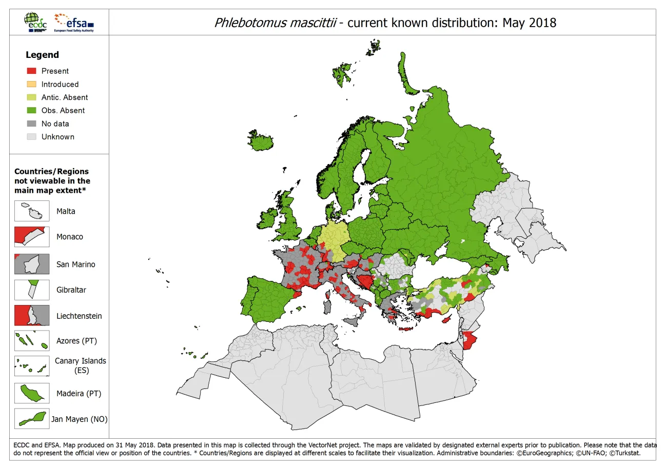Phlebotomus mascitii - current known distribution: May 2018