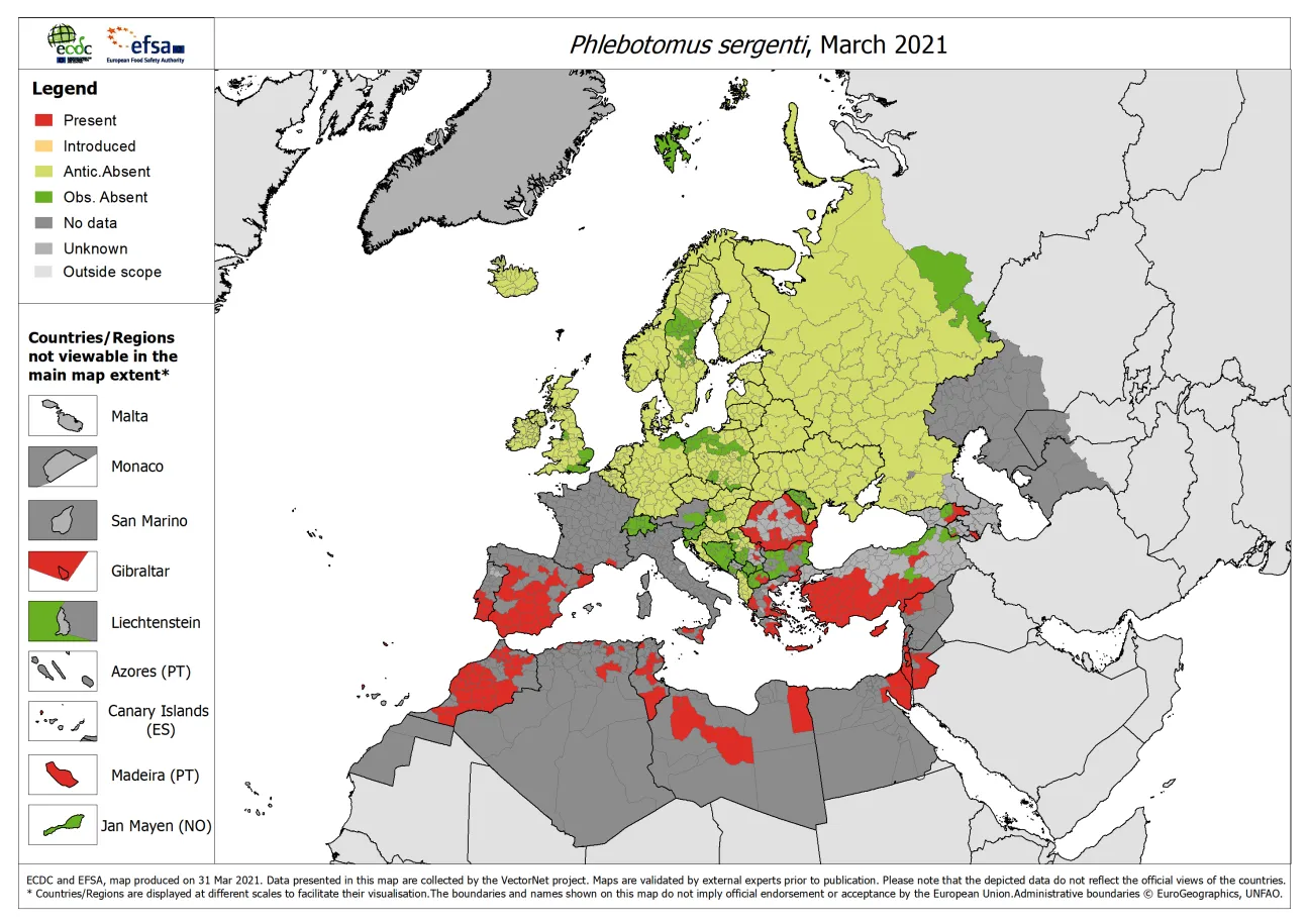 Phlebotomus sergenti - current known distribution: March 2021