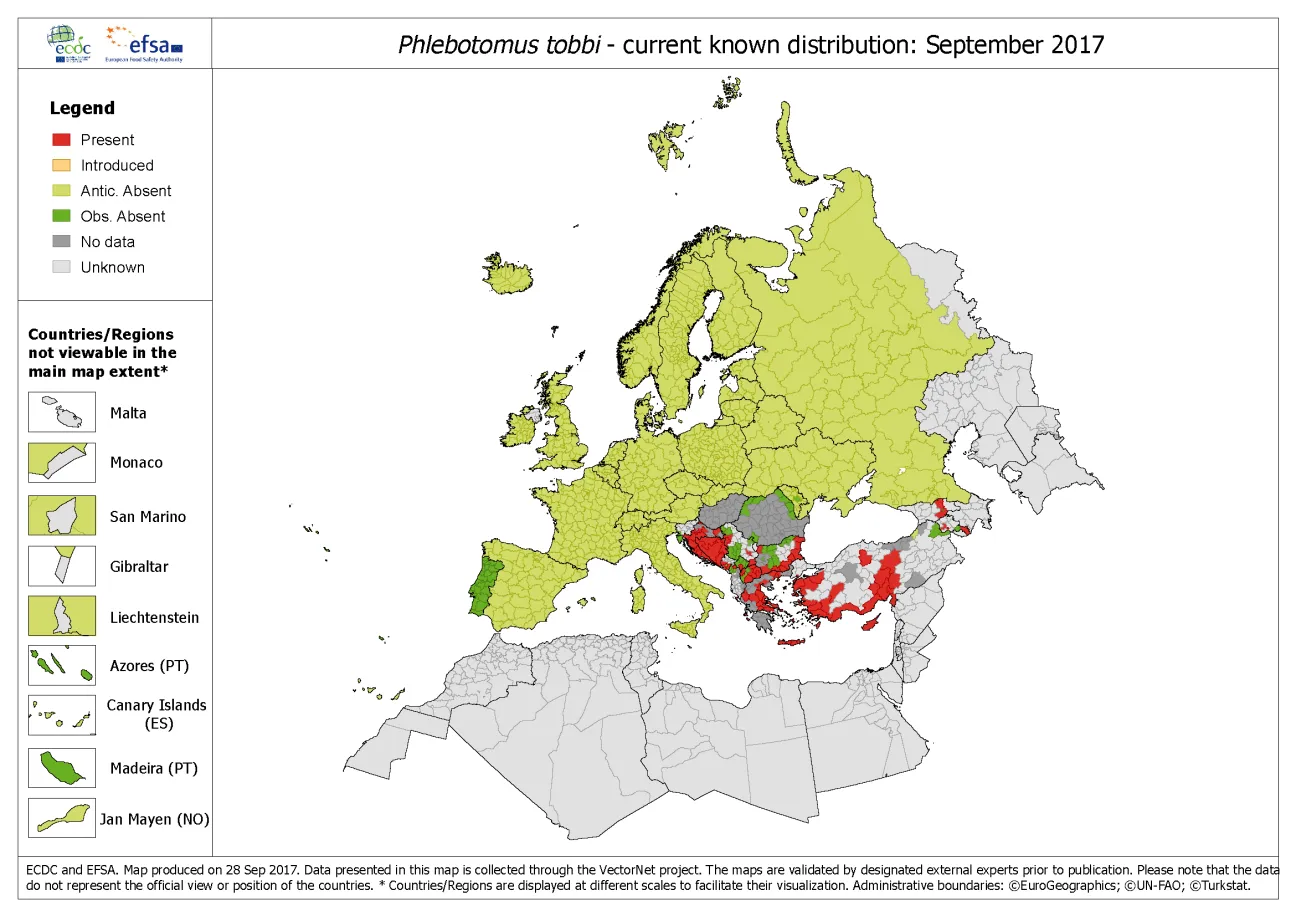 Phlebotomus tobbi - current known distribution: September 2017