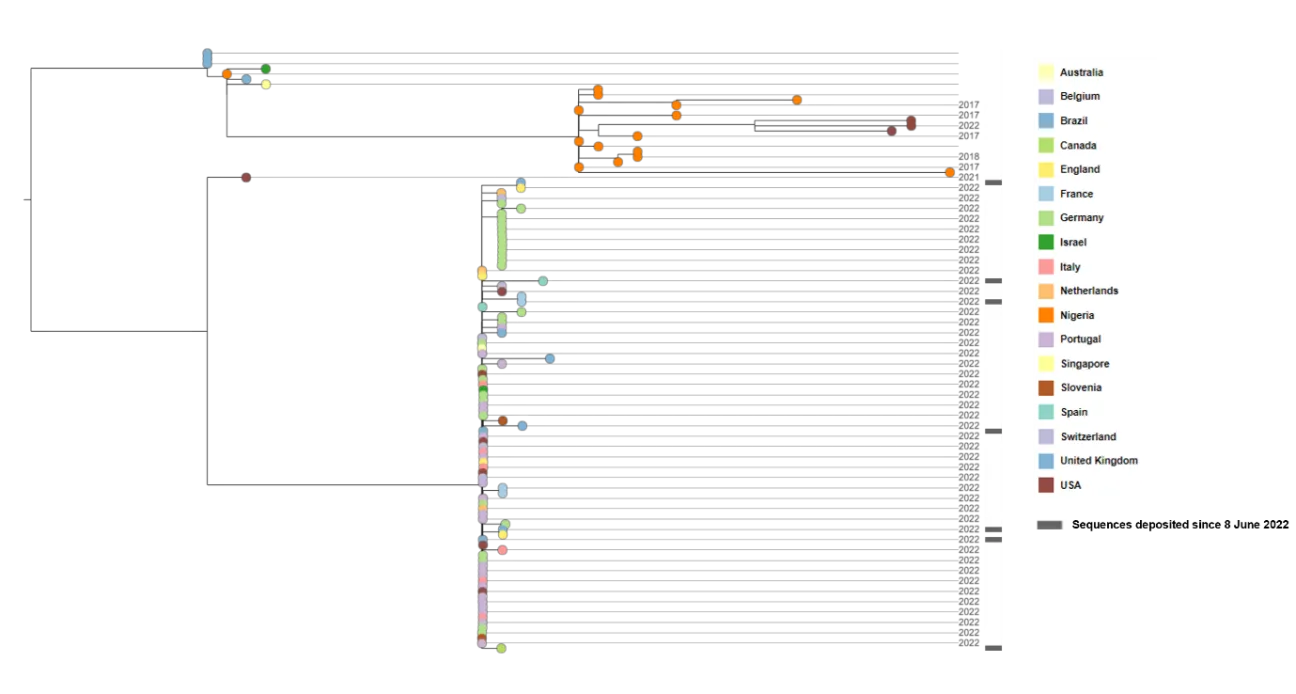 Figure 3. Phylogenetic tree of monkeypox virus sequences from West African clade as of 14 June 2022.