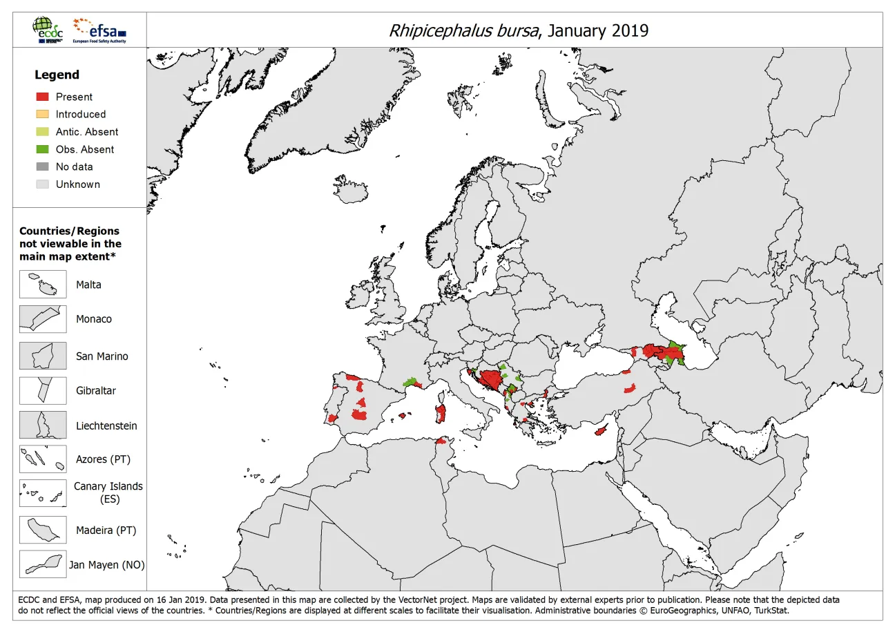 Rhipicephalus bursa - current known distribution: January 2019