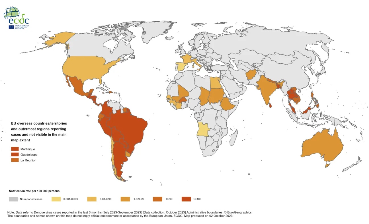 Three-month dengue virus disease case notification rate per 100 000 population, August - October 2023