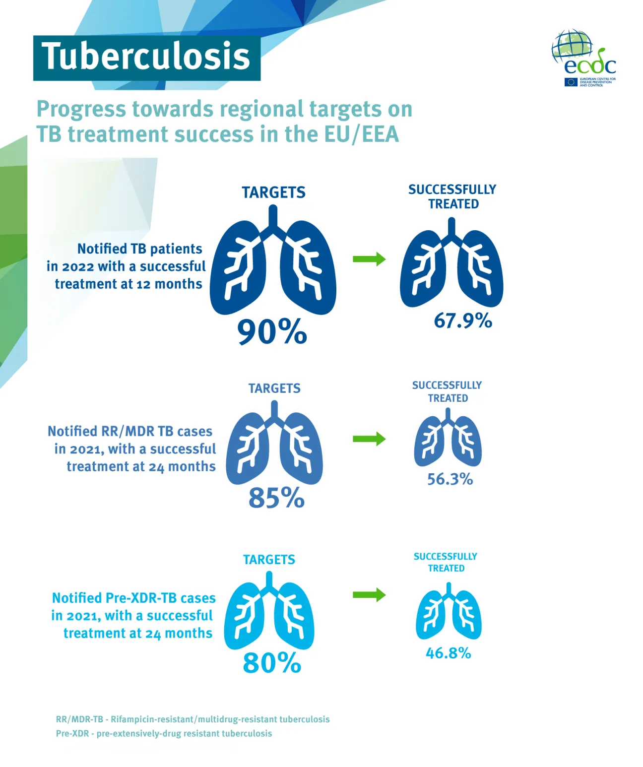 Tuberculosis treatment outcomes in the EU/EEA, 2023