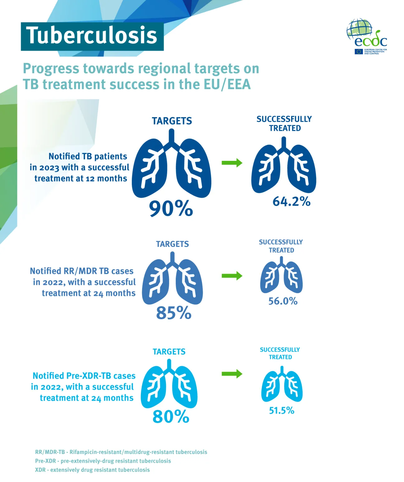 Tuberculosis treatment outcomes in the EU/EEA, 2024