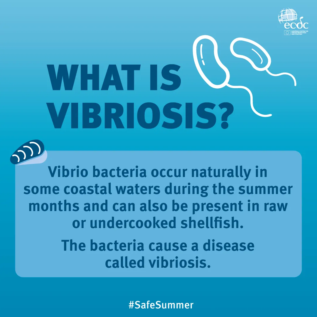 What is vibriosis?