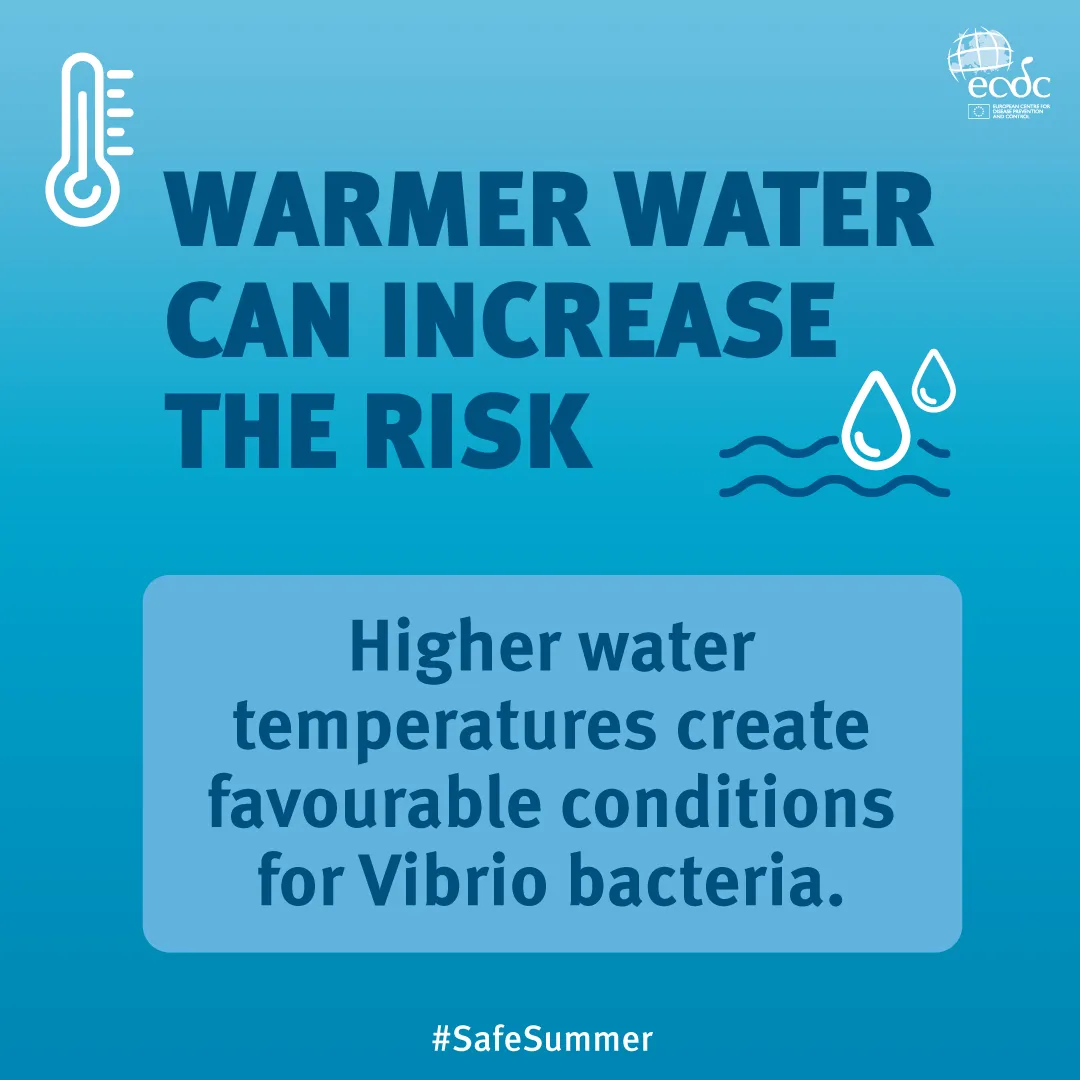 Warmer water can increase the risk