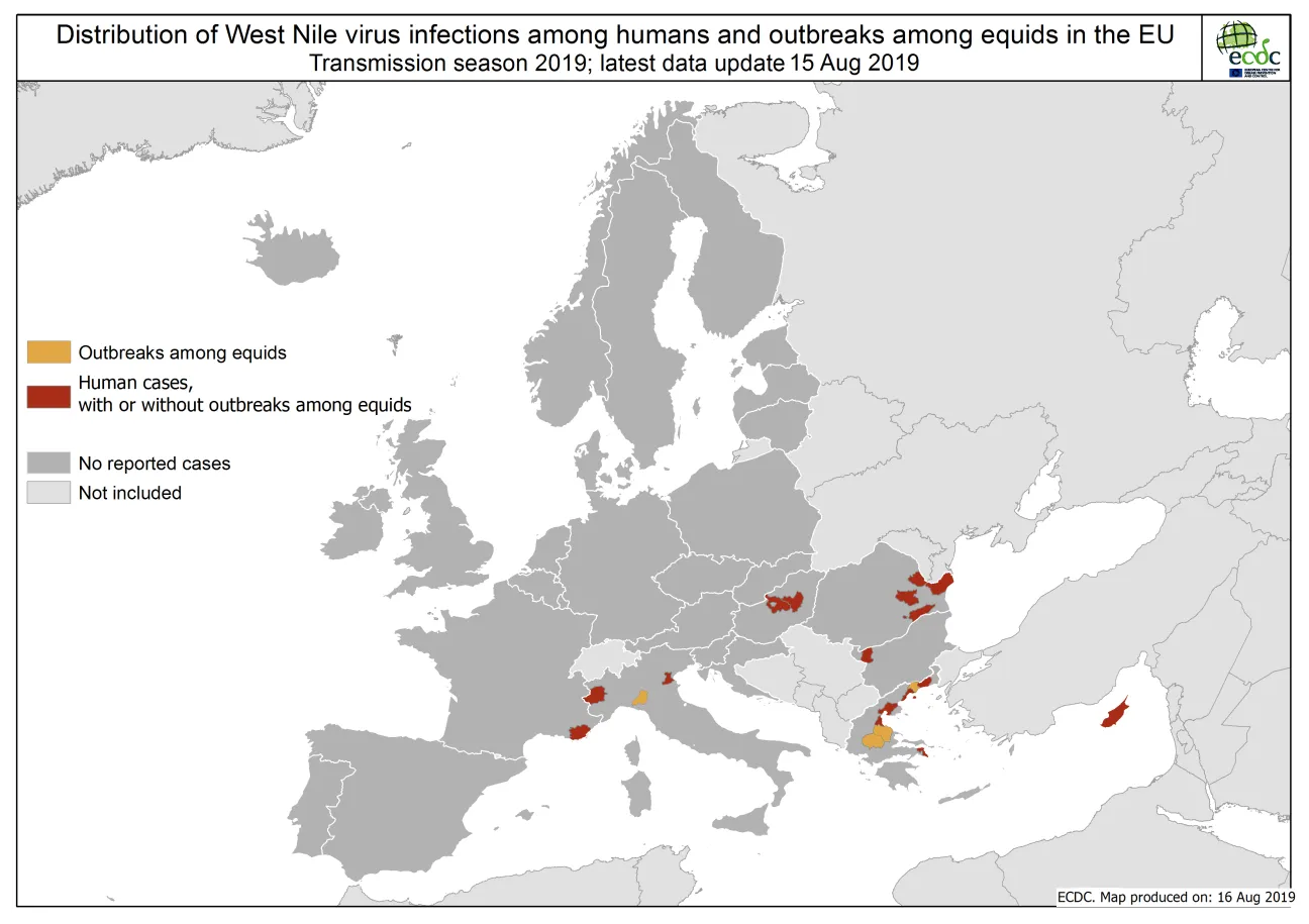 West Nile virus in Europe in 2019 - human and equine cases, updated 15 August