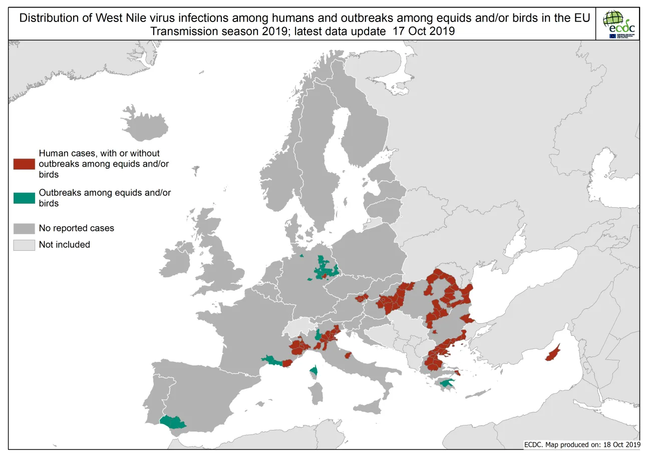 West Nile virus in Europe in 2019 - infections among humans and outbreaks among equids and/or birds, updated 18 October
