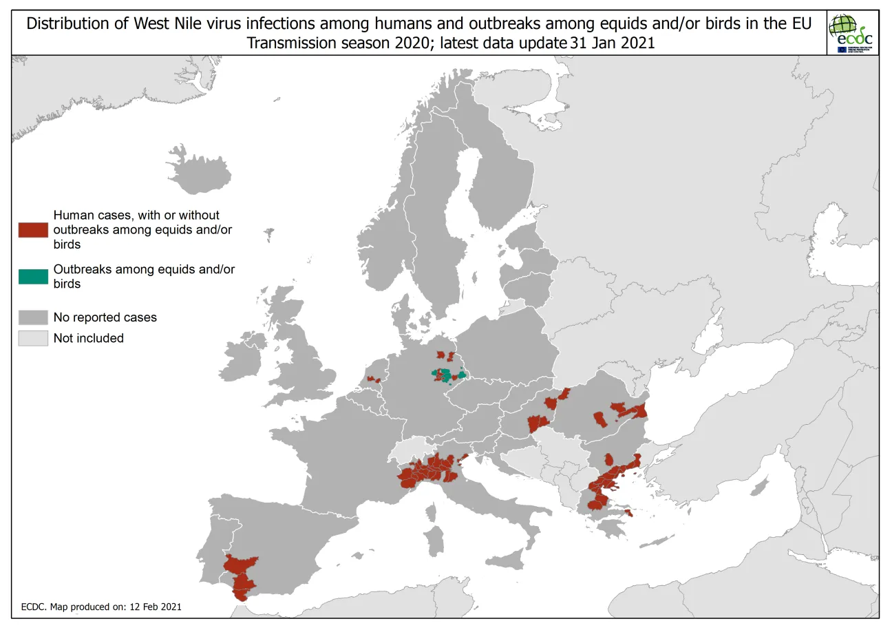 West Nile virus outbreaks among humans and animals, 2020 transmission season