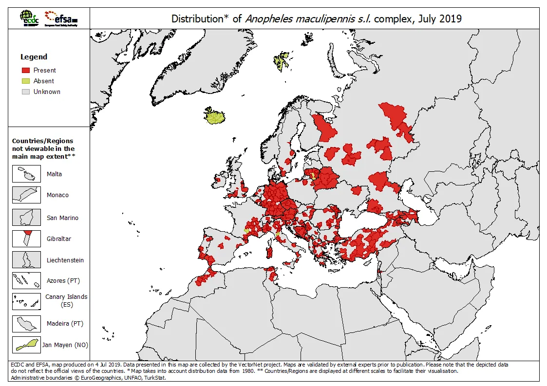 Anopheles maculipennis s.l. complex - current known distribution