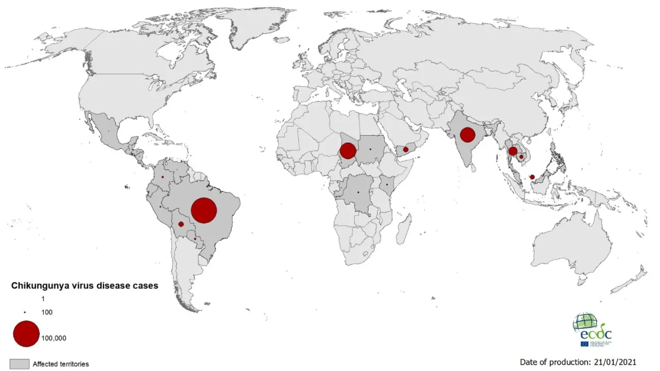 Geographical distribution of chikungunya virus disease cases reported worldwide, January to December 2020