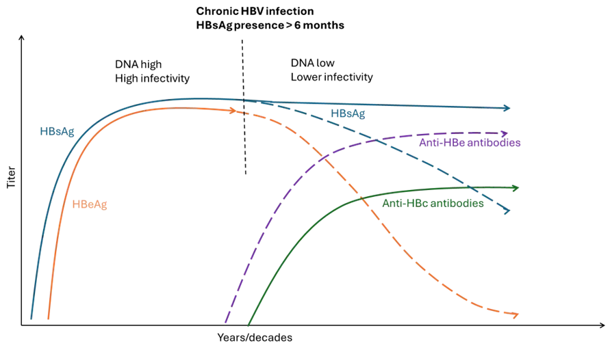 Chronic HBV infection with persistence of the virus