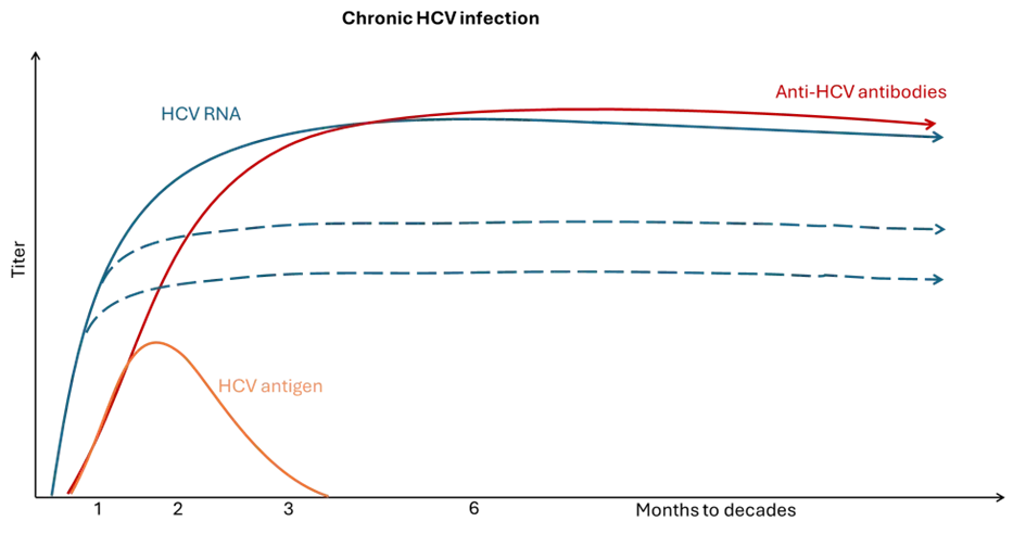 Chronic HCV infection with persistence of the virus