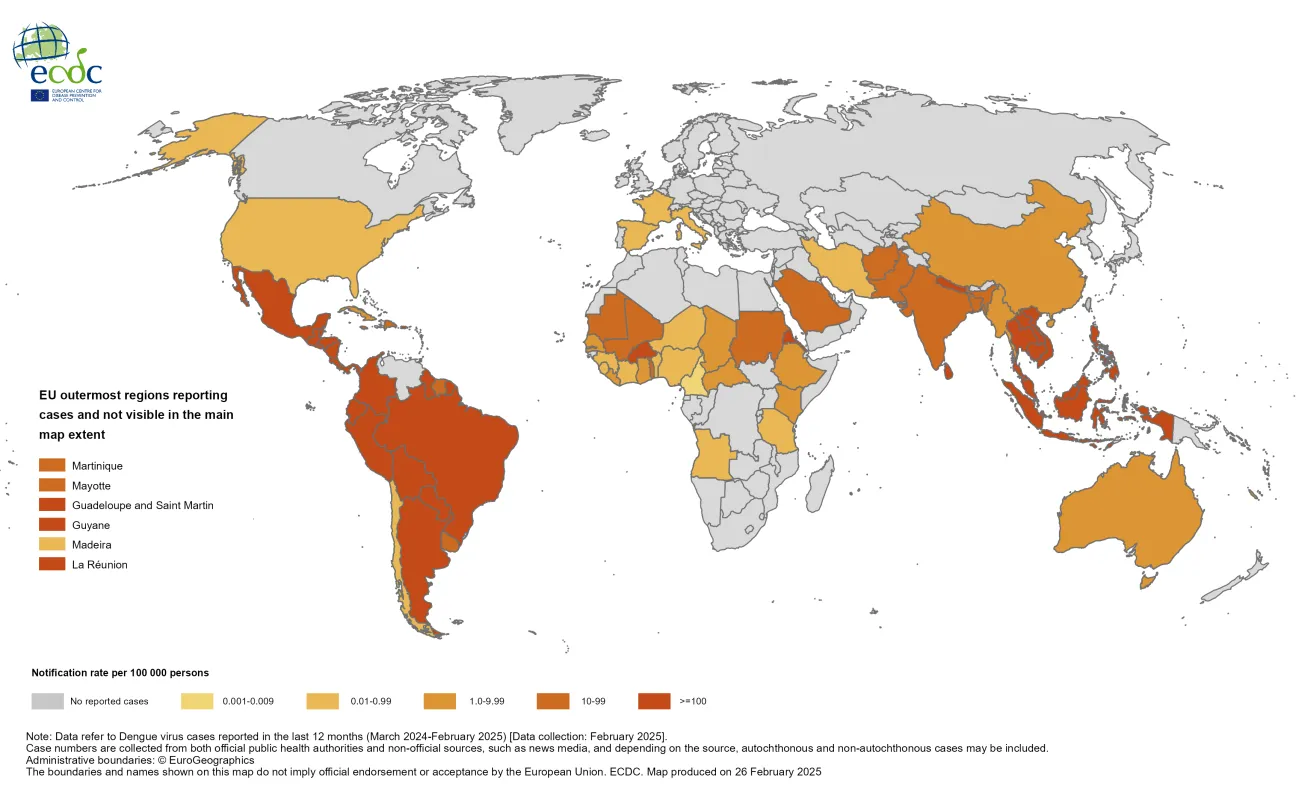 Since the beginning of 2025, 640 349 dengue cases and 159 dengue-related deaths have been reported from 48 countries/territories.