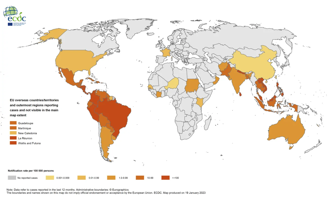 Dengue virus disease cases reported January–December 2022