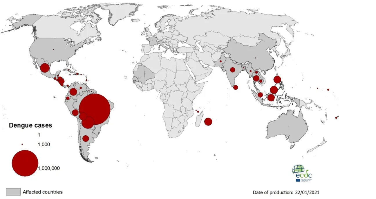 Geographical distribution of dengue cases reported worldwide, 2020
