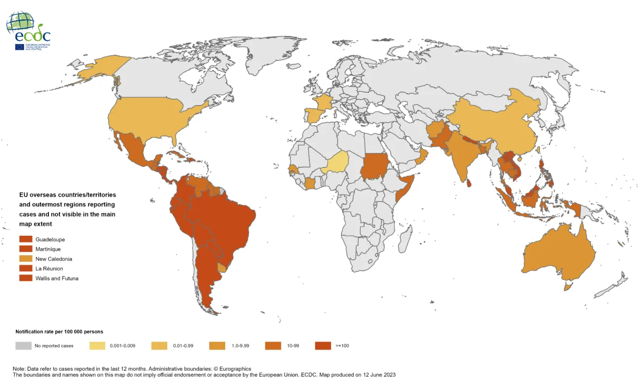 Twelve-month dengue virus disease case notification rate per 100 000 population, June 2022-May 2023