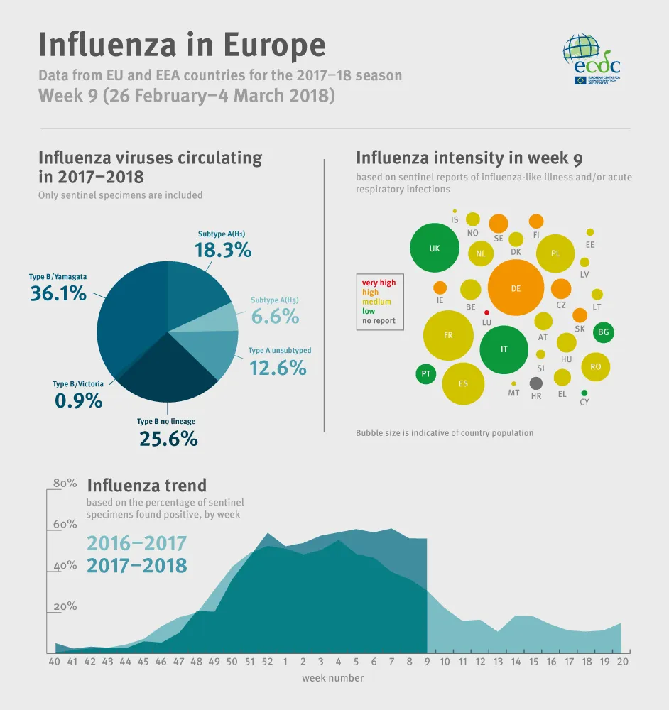 Infographic displaying data from influenza in Europe report