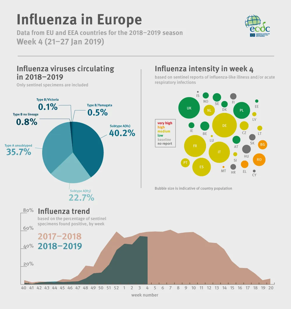 Weekly influenza update, week 4, January 2019 