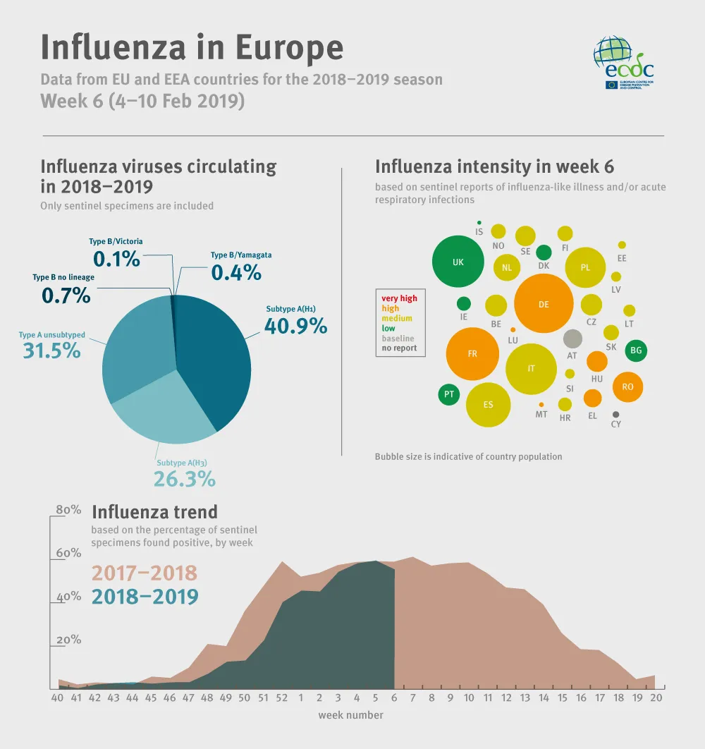 Weekly influenza update, week 6, February 2019