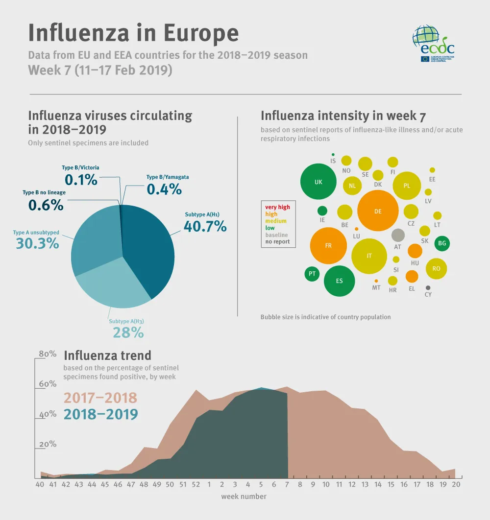 Weekly influenza update, week 7, February 2019