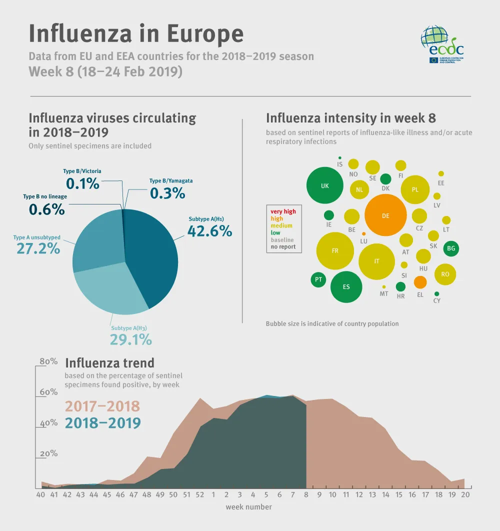 Weekly influenza update, week 8, February 2019