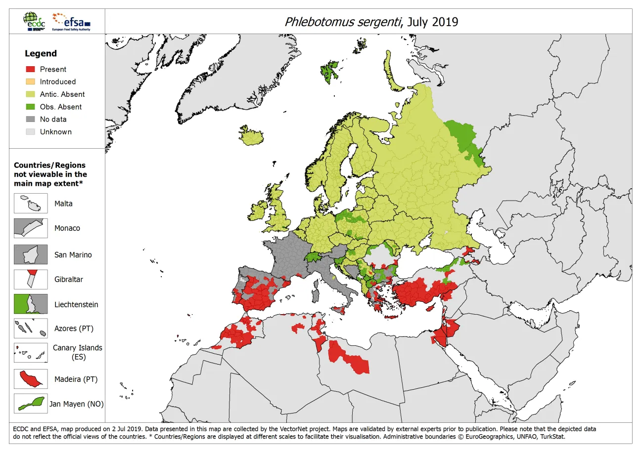 Phlebotomus sergenti - current known distribution: July 2019