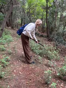 Active collection from mosquito resting sites by fellow, using a Prokopack aspirator