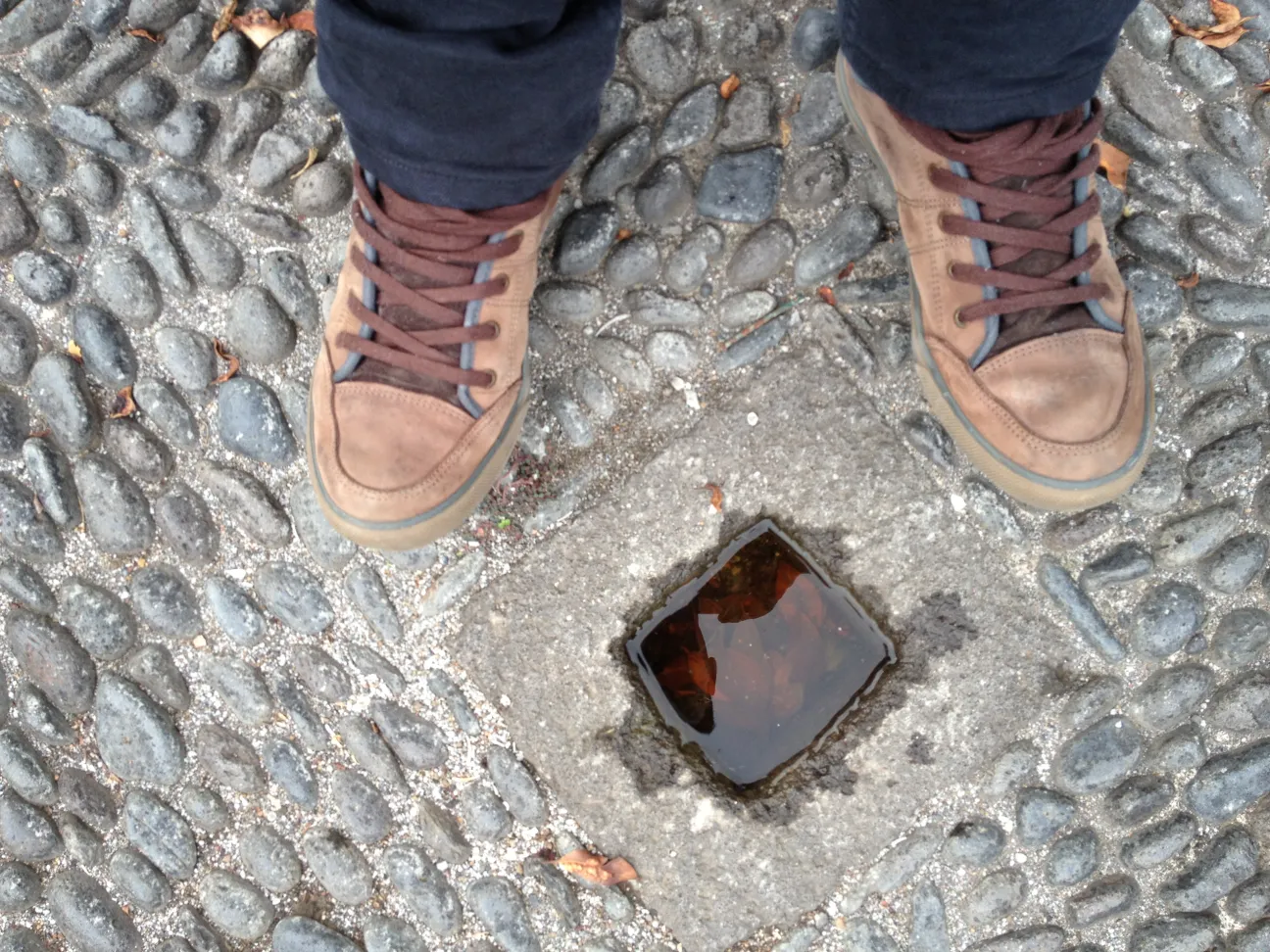 EPIET Postcard from the field - Person standing next to a mosquito trap, during the dengue outbreak in Madeira, 