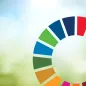Sustainable development goals 2025