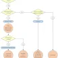 Algorithm for initial assessment and management of cases related to the outbreak of plague in Madagascar
