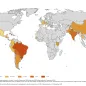 12-month Chikungunya virus disease case notification rate per 100 000 population, December 2024 to November 2025