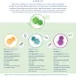 Infographic: Mutation of SARS-CoV2 - current variants of concern, updated 19 April 2021