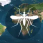 Map mosquito