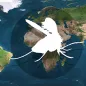 Maps-sandfly_H