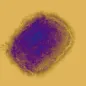 Monkeypox virus