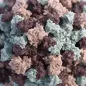 3D graphical representation of a single Norovirus virion. Credit: CDC/ Jessica A. Allen