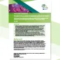 Cover of the report: "Priorities in the prevention of congenital syphilis in the EU/EEA Monitoring of the responses to sexually transmitted infection epidemics in the European Union and European Economic Area – 2024 progress report"