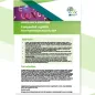 Cover of the report: "Congenital syphilis Annual Epidemiological Report for 2024"