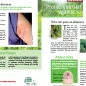 Cover of leaflet about Lyme borreliosis for the general public