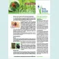 Cover of factsheet about Lyme borreliosis for healthcare professionals