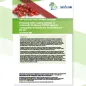 Cover of rapid outbreak assessment