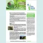 Cover of the factsheet about tick-borne encephalitis for health practitioners